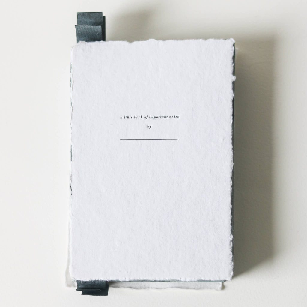 A Big Book of Important Notes