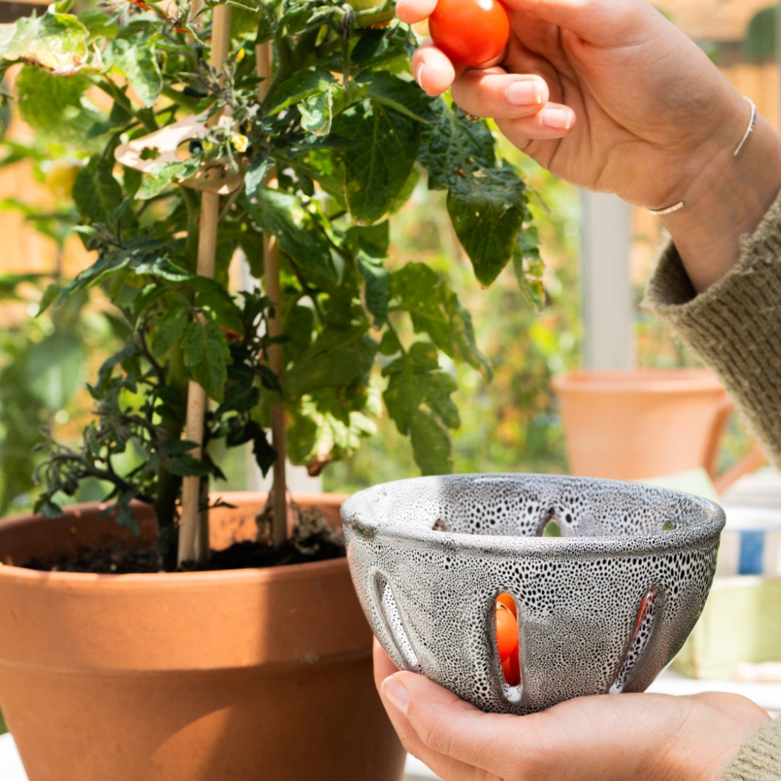Person holding a small tomato and a textured bowl outdoors with plants in the background