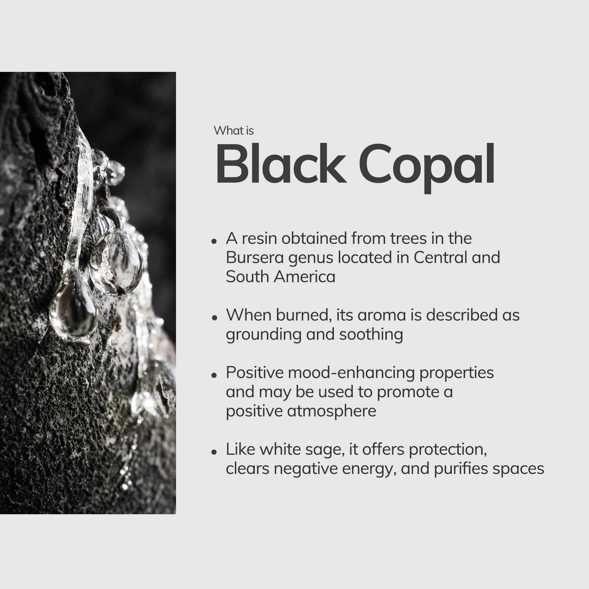 What is black copal