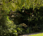 Festoon Lights - Buttercup