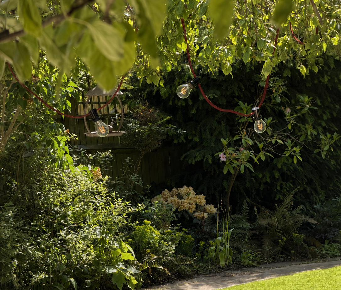 Festoon Lights - Buttercup