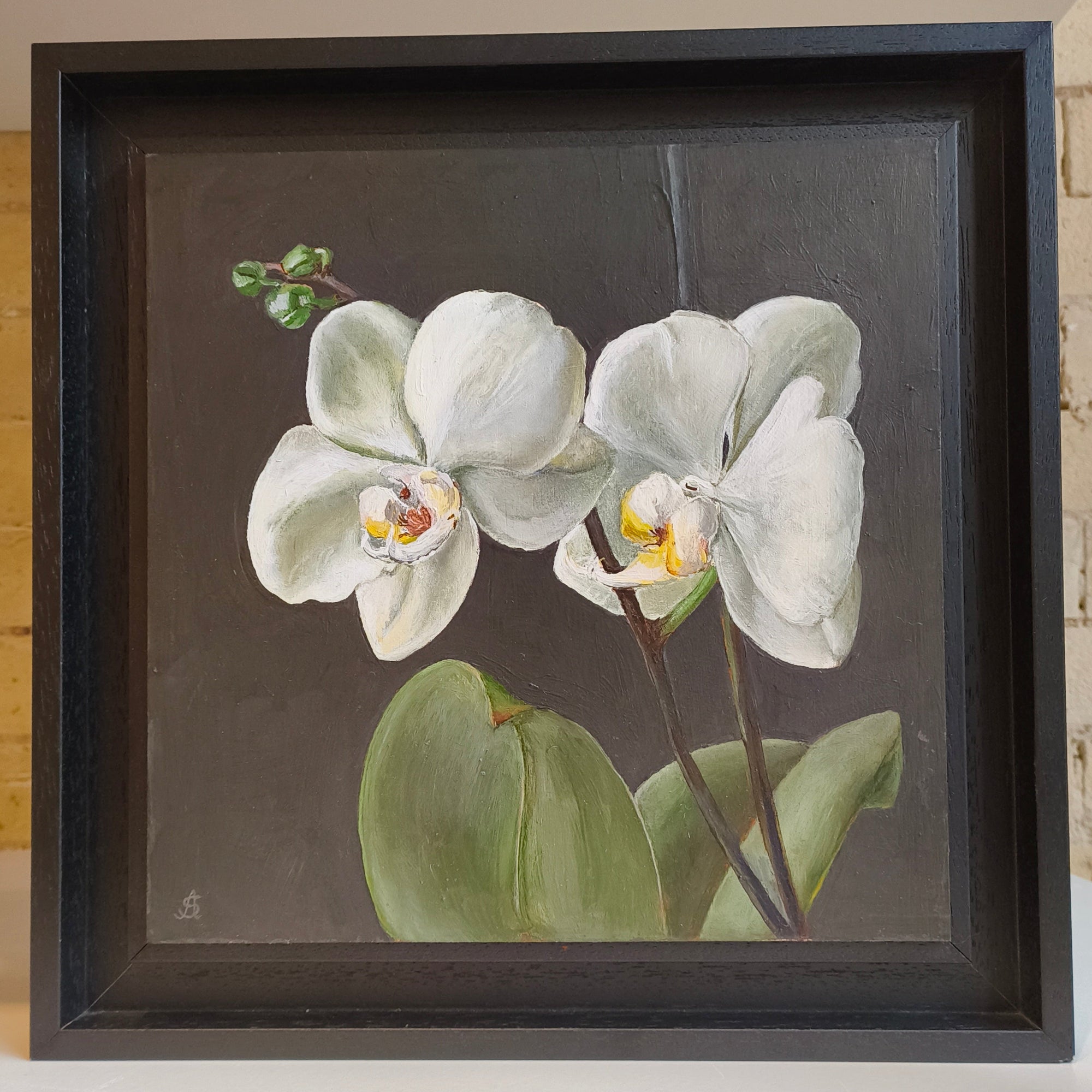Orchids oil on board by angela skabrin