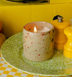 Tomato Vine Scented Candle & Holder by Pott