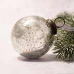 Decorative glass Christmas ball with textured surface on a branch against a light background