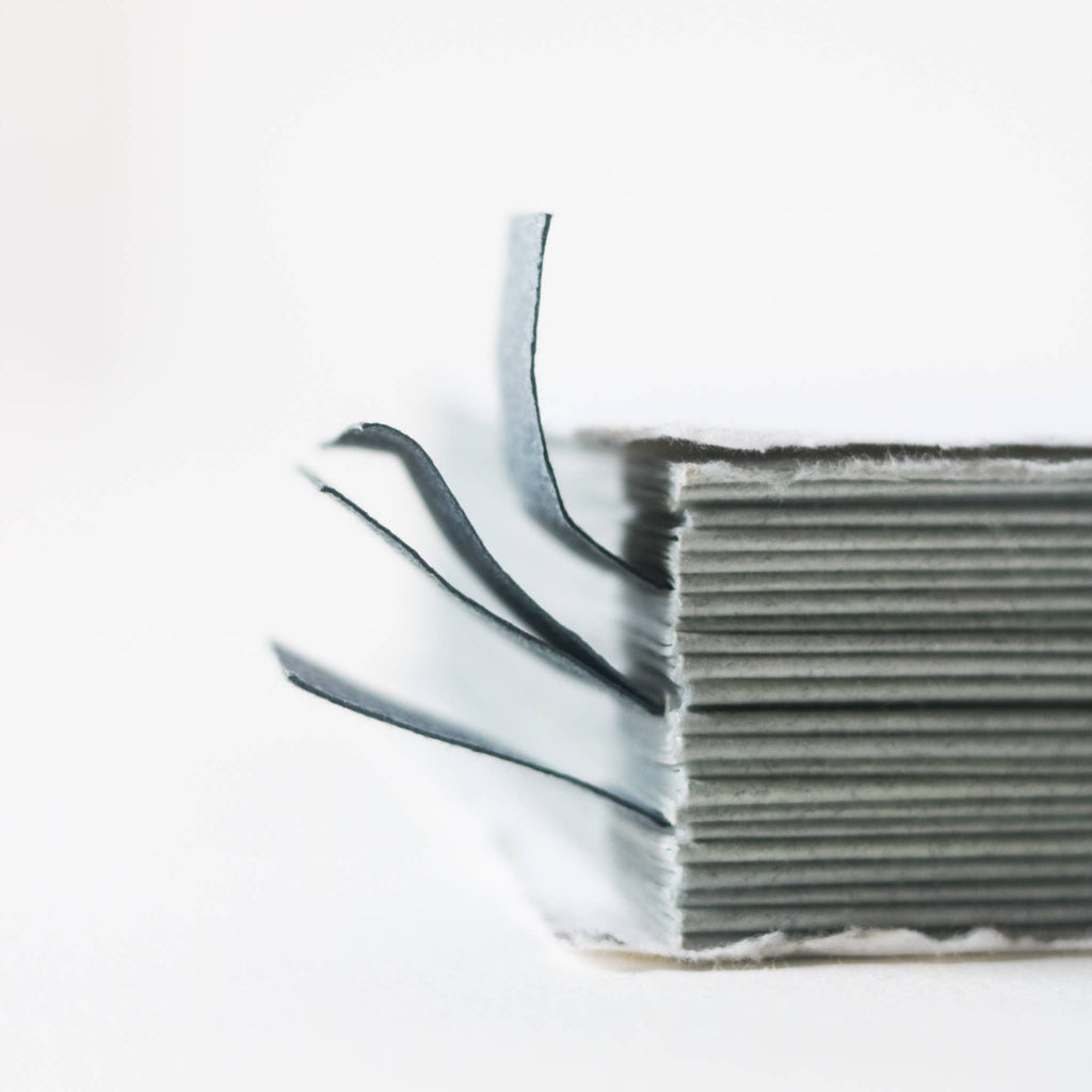 A Big Book of Important Notes