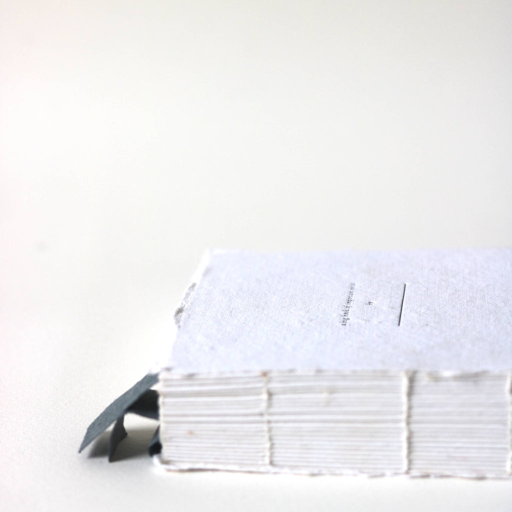 A Big Book of Important Notes