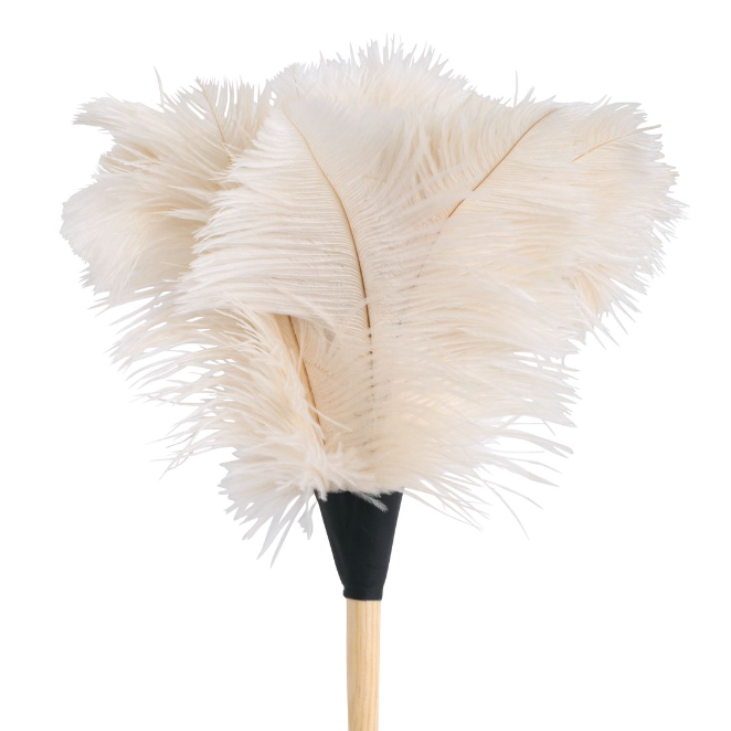 Ostrich Feather Duster