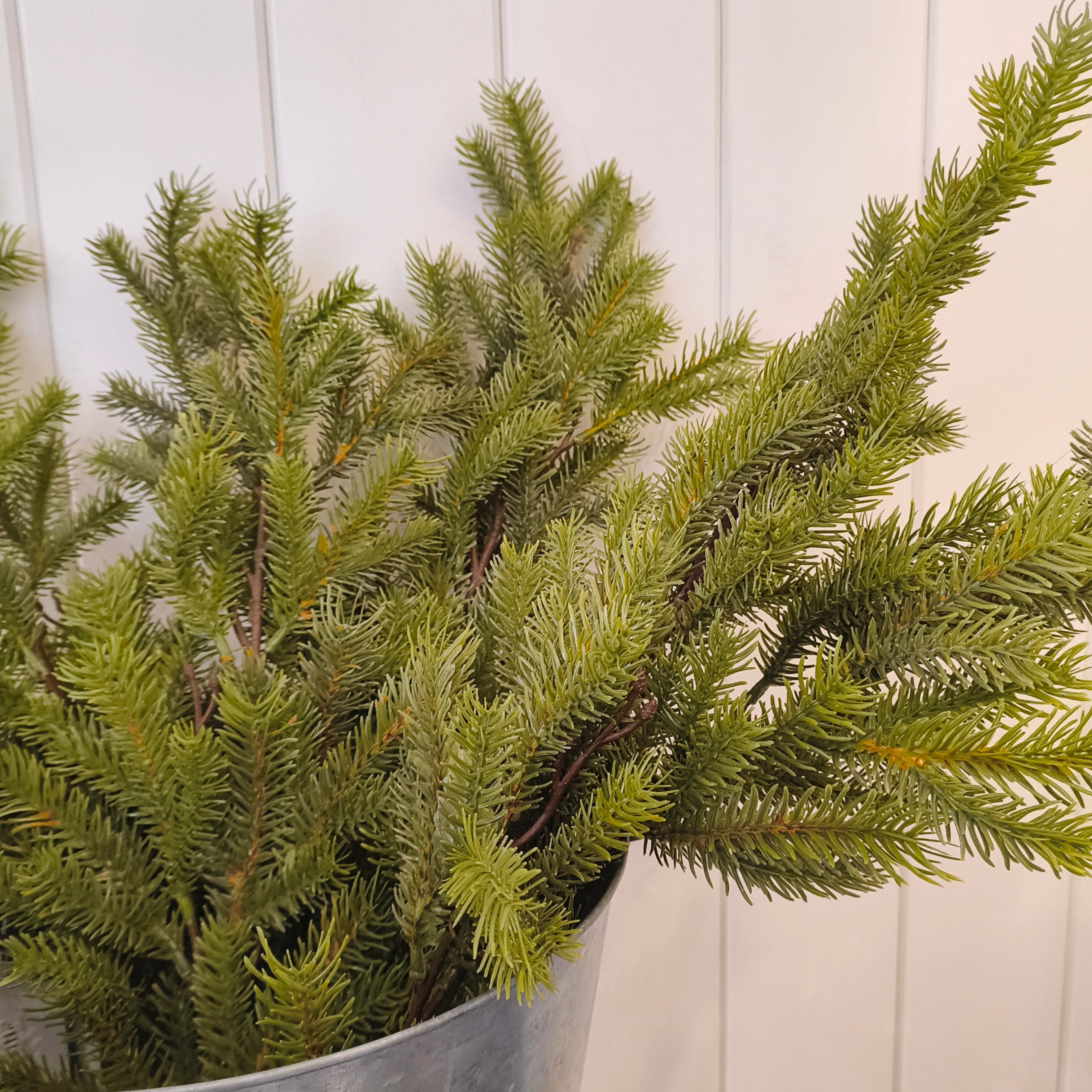 Artifcial pine stem in a metal bucket