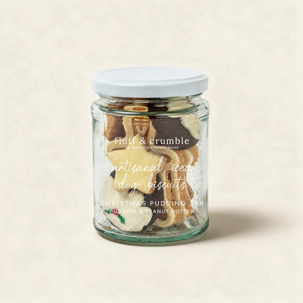 Christmas pudding iced dog biscuit gift jar