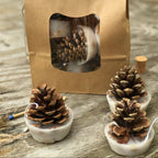 Pine cone firelighters with packaging on a wooden surface