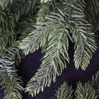 Close-up of artificial greenery with a dark background