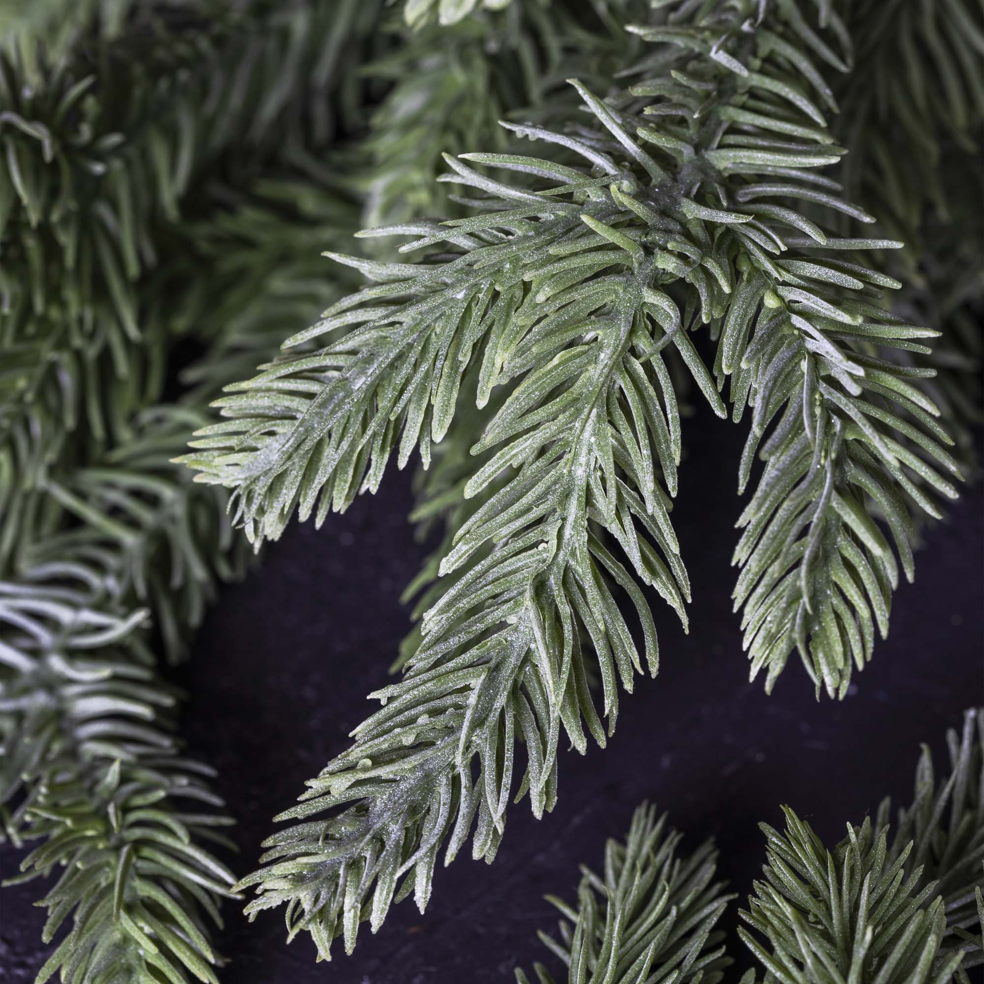 Close-up of artificial greenery with a dark background