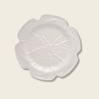 cream cabbage leaf ceramic plate on a beige background