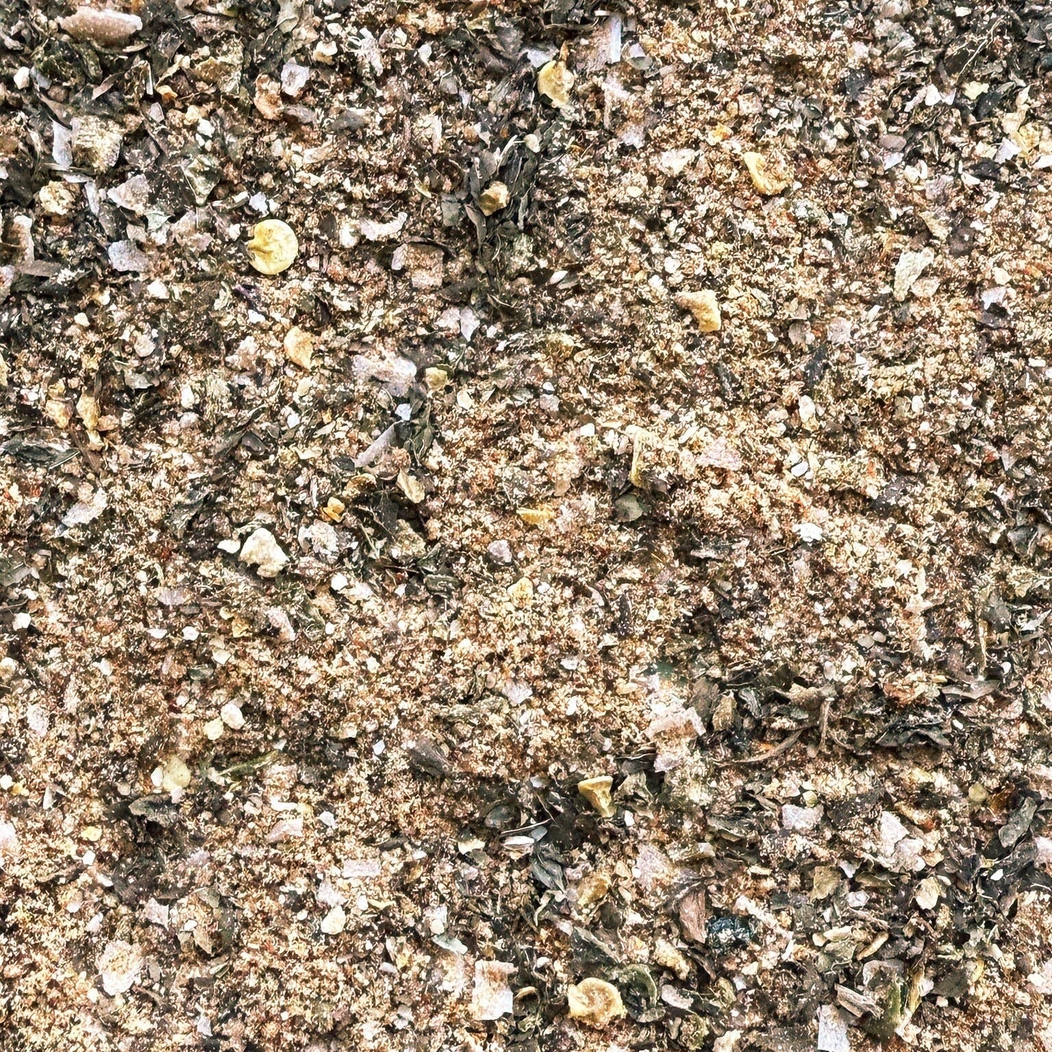 Close-up of ants on a textured surface