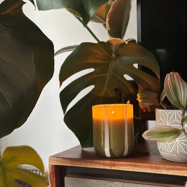 Candle on a wooden surface with plants in the background