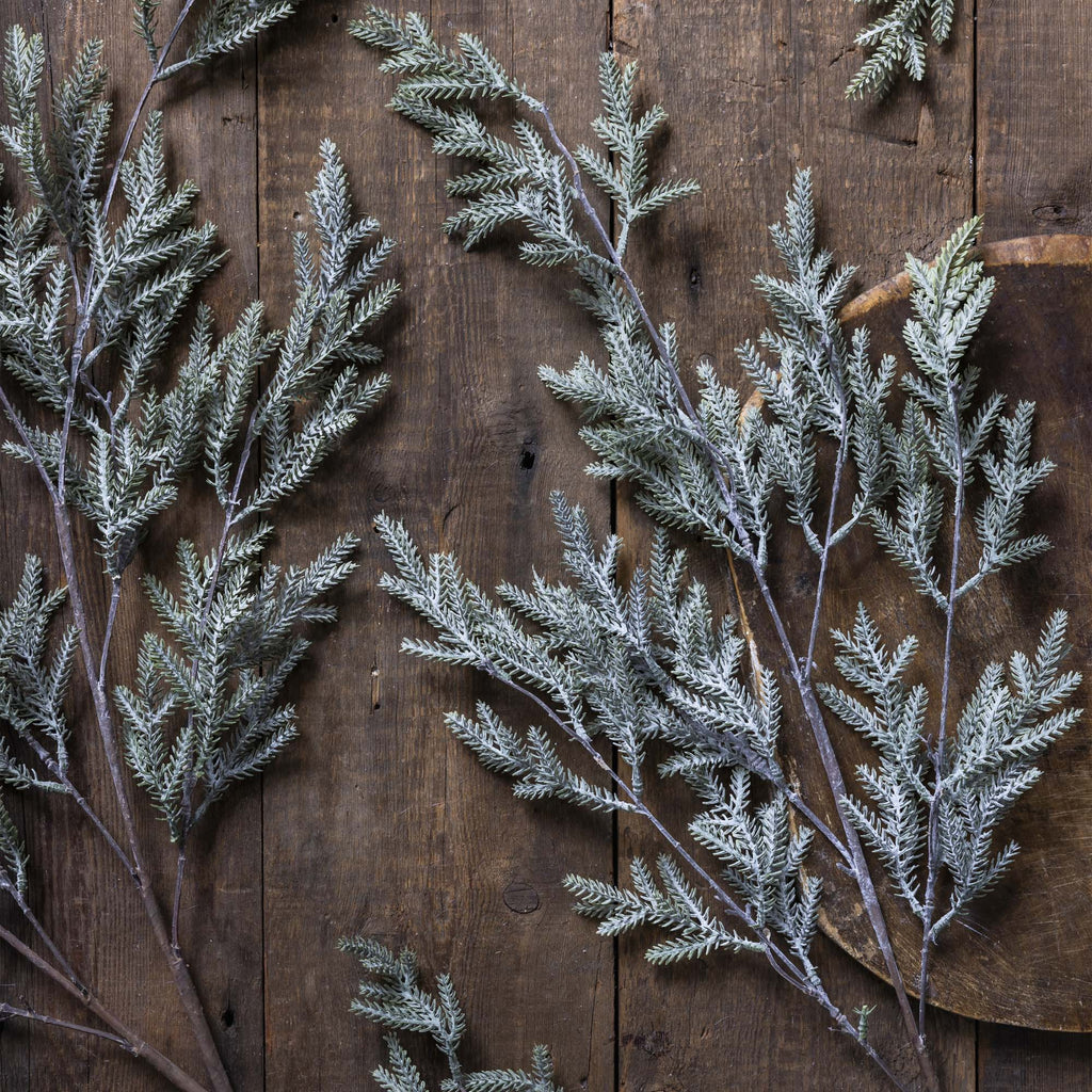 Frosted branches on a wooden surface