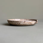 Ceramic plate with a speckled glaze on a plain background