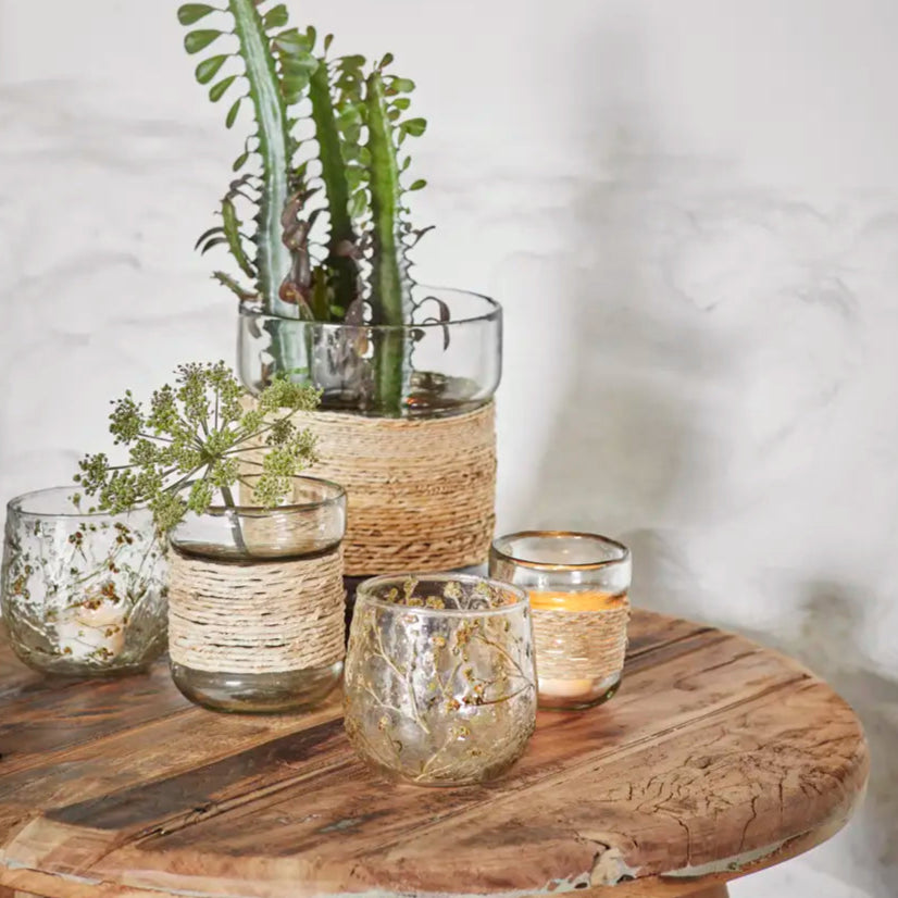 Decorative glass vases with plants on a wooden table against a light background