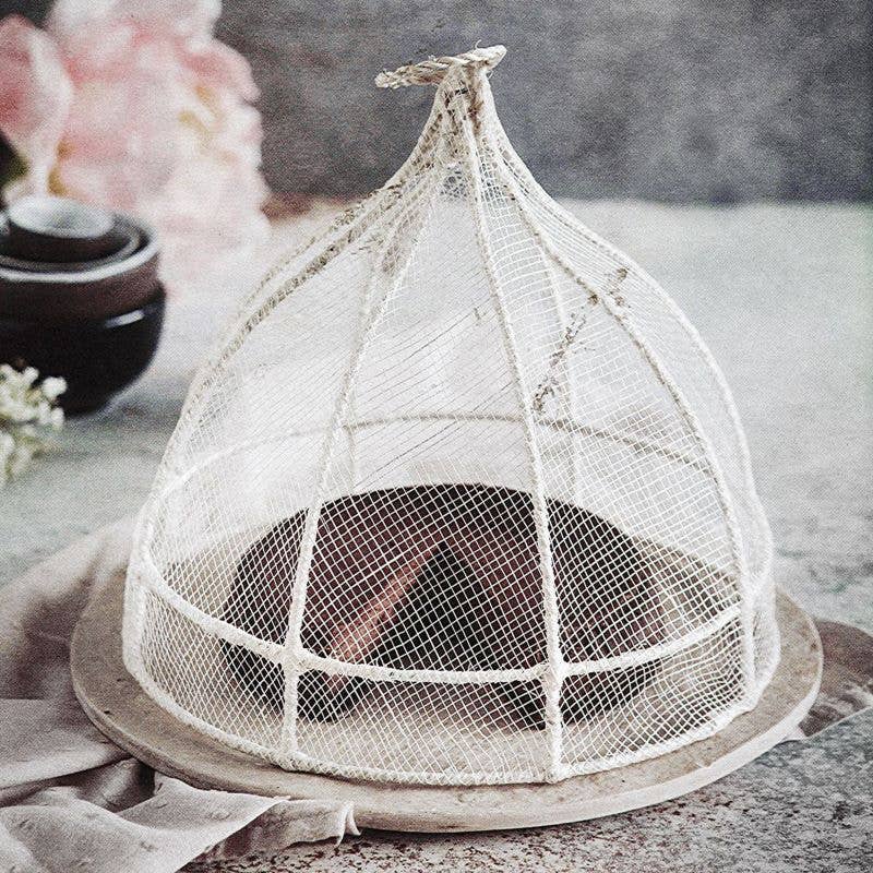 Mesh food cover on a table with a blurred background