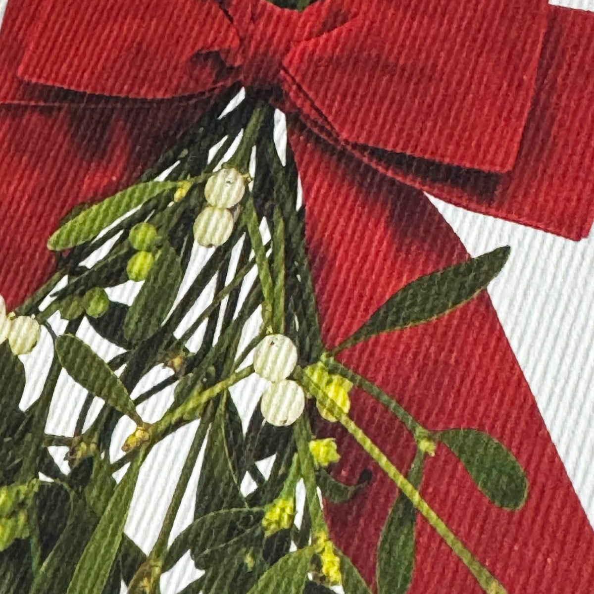Mistletoe with a red bow on a textured background