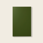 Solid green rectangle on a light beige background