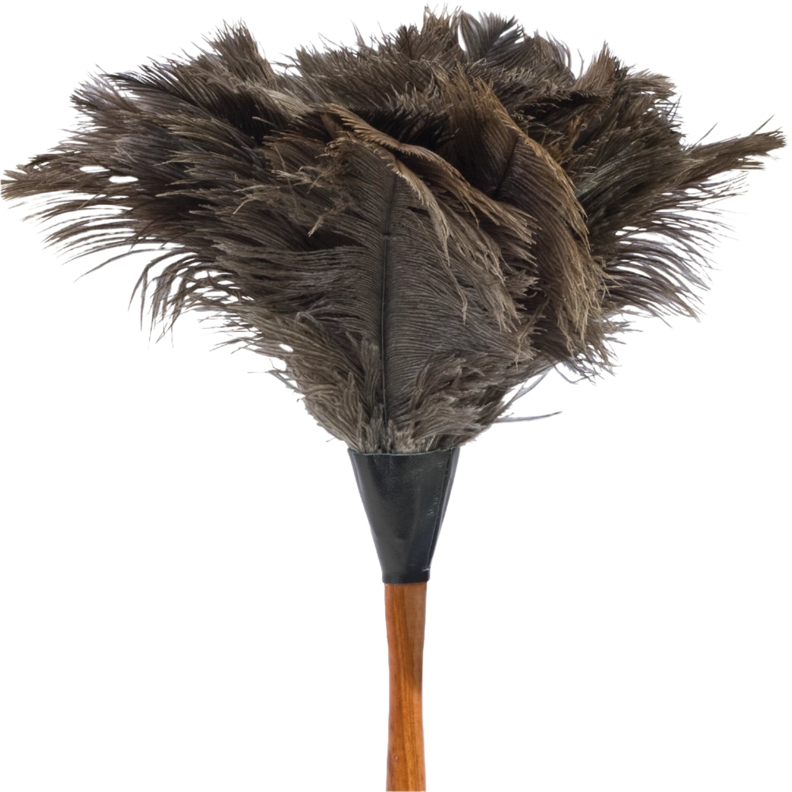 ostrich feather duster