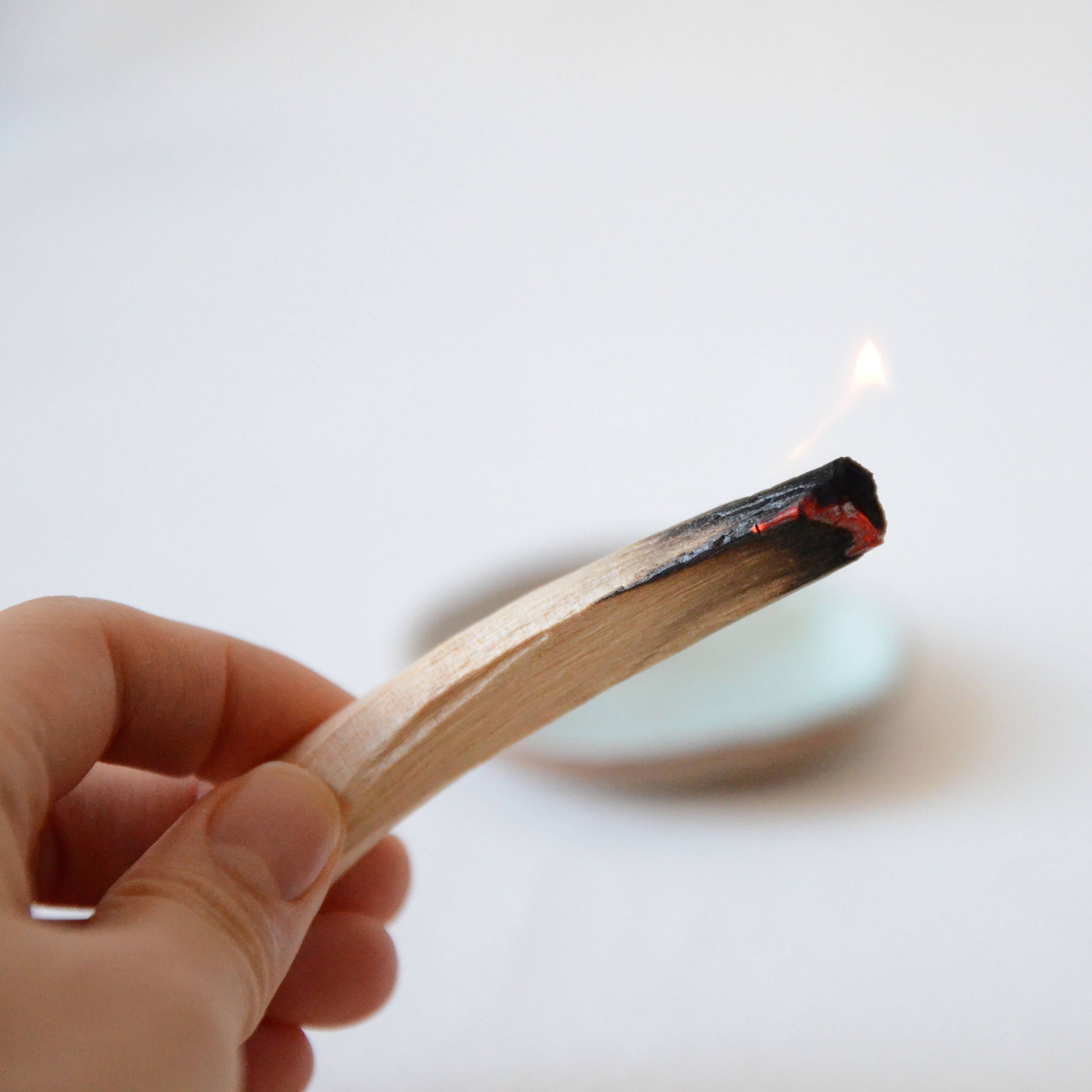 Hand holding a lit wooden Santo wood stick against a white background