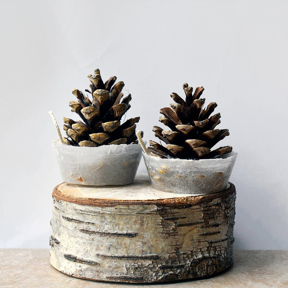 Two pinecones in small stone bowls on a wooden log with a plain background