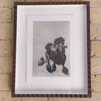 poodle print by kim tong