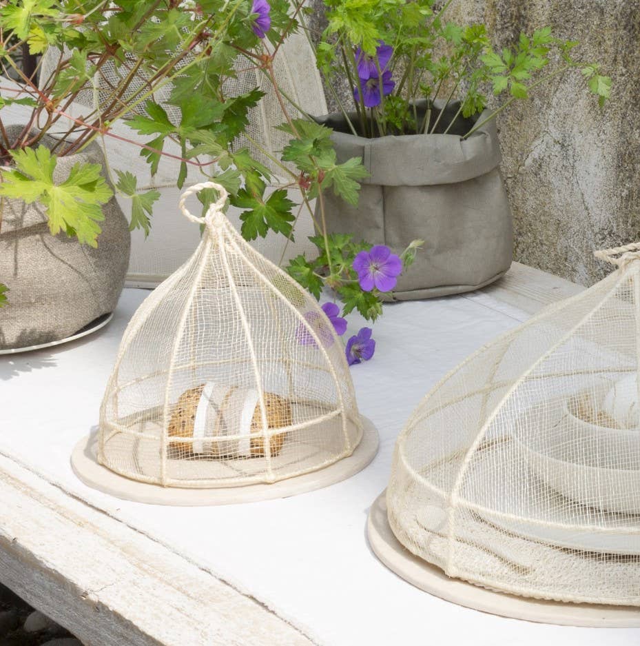 Decorative mesh cloches on a wooden surface with plants in the background