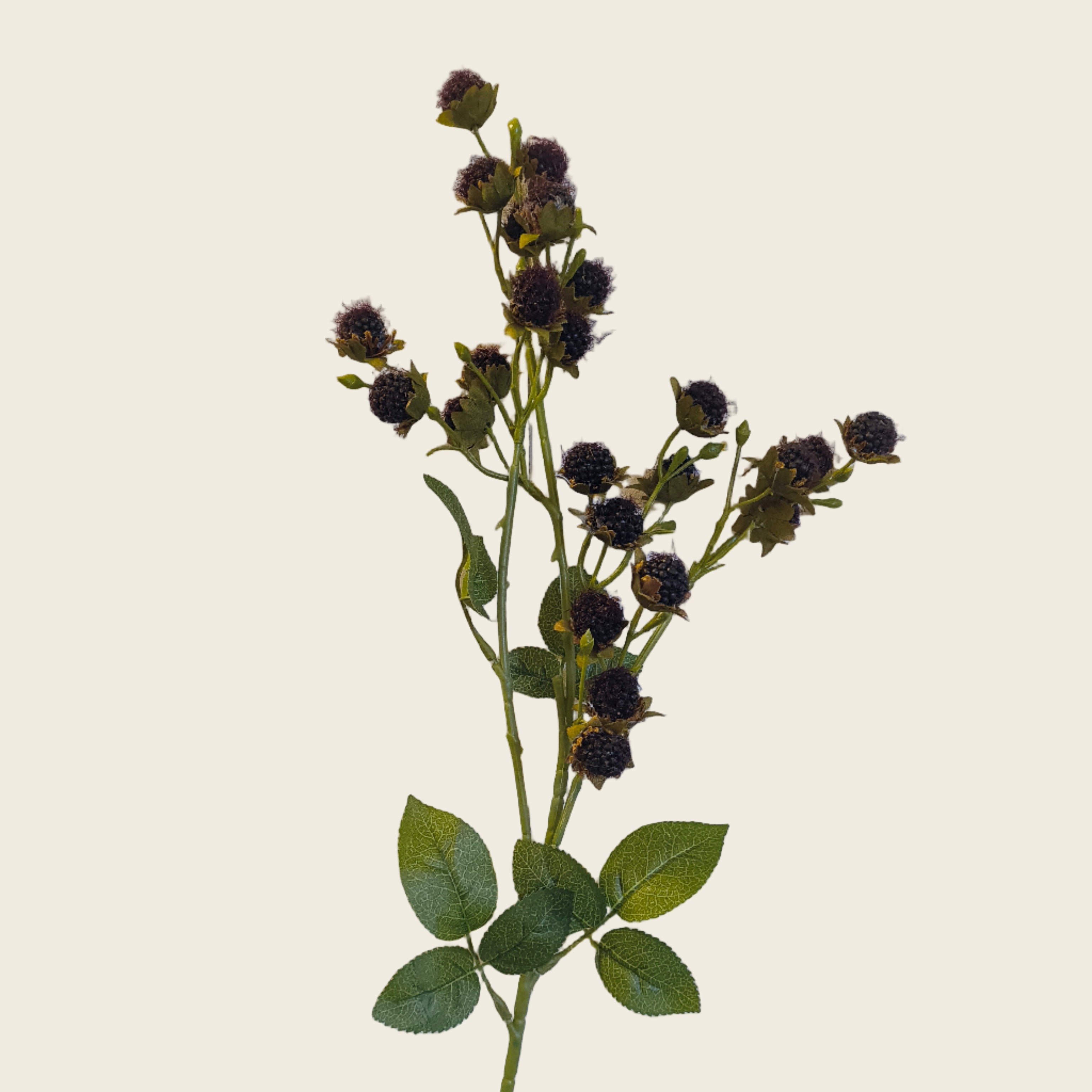 Artificial flower stem with dark buds and green leaves against a light wooden panel background